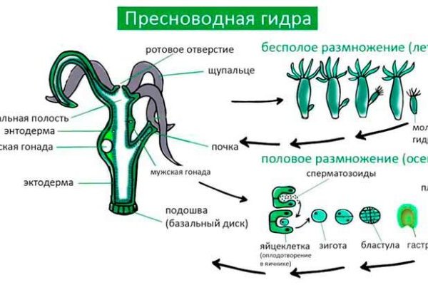 Kraken shop ссылка