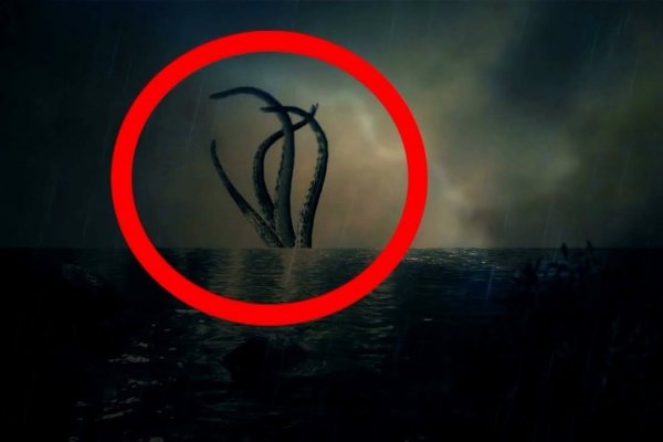 Kraken 19at