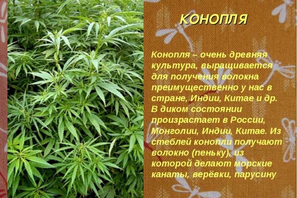 Кракен клирнет ссылка