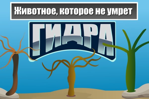 Kraken ссылка krakens13 at