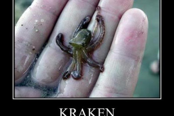 Кракен ссылка 2web krakendark link