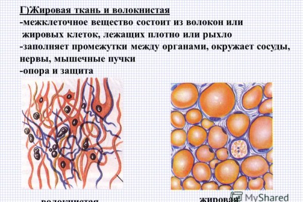 Кракен 16 at