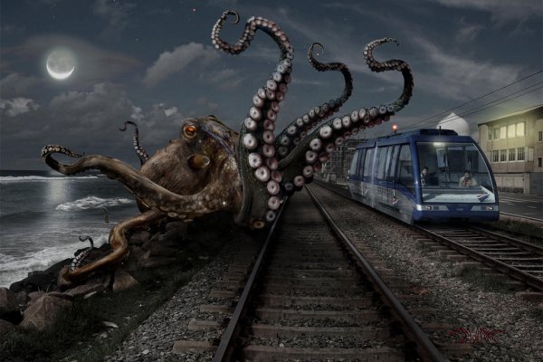 Ссылка на kraken at