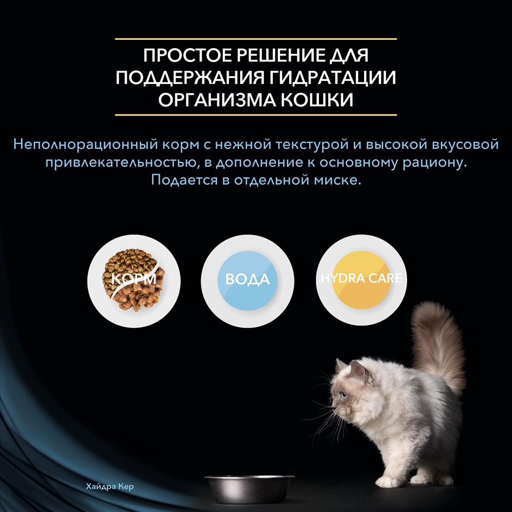 Как восстановить аккаунт на кракене
